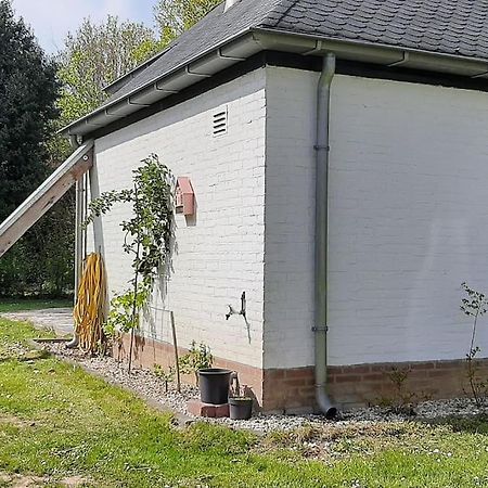 Vrijstaande Recreatievilla Met Ruime Omheinde Tuin Posterholt Экстерьер фото
