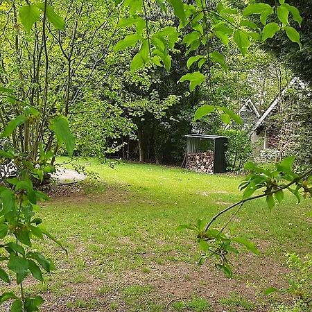 Vrijstaande Recreatievilla Met Ruime Omheinde Tuin Posterholt Экстерьер фото