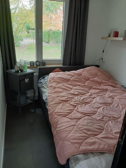 Vrijstaande Recreatievilla Met Ruime Omheinde Tuin Posterholt Экстерьер фото