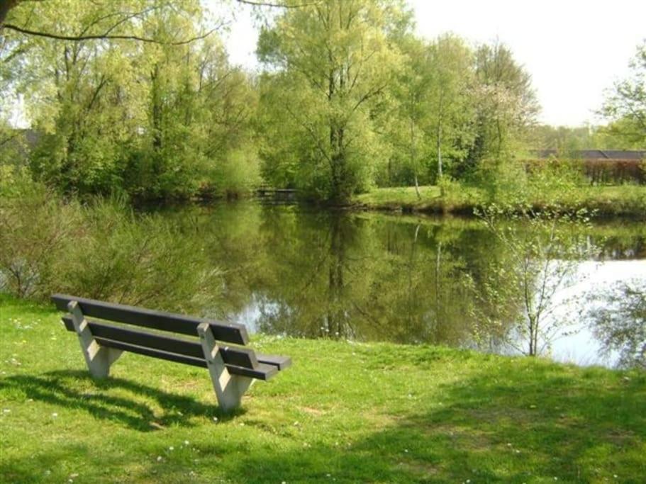 Vrijstaande Recreatievilla Met Ruime Omheinde Tuin Posterholt Экстерьер фото